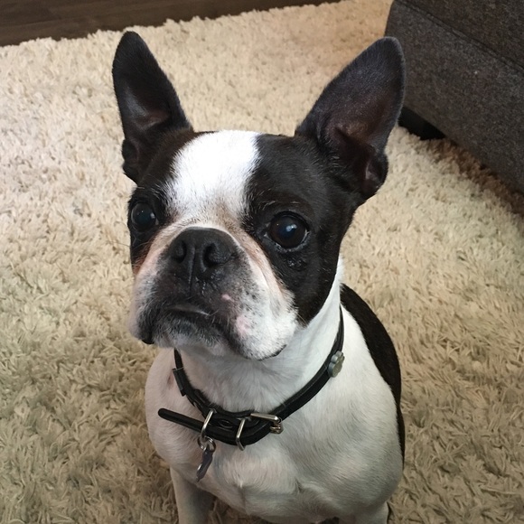 Meet your Posher, Elisabeth - Picture 1 of 1